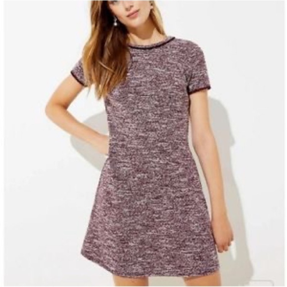 LOFT Burgundy Tweed Knit Fringe Shift Dress - Size 18